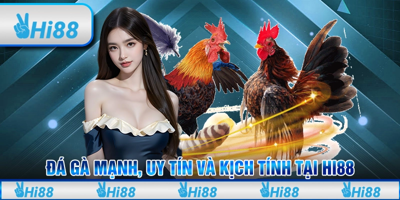 Đá Gà Mạnh, Uy Tín Và Kịch Tính Tại Hi88