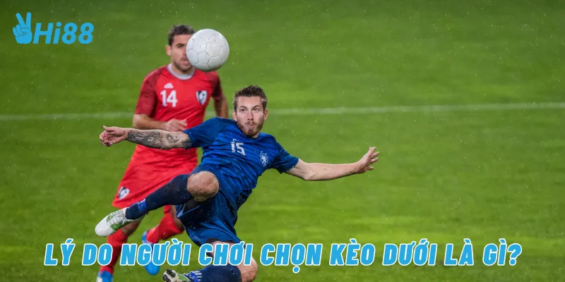 Lý do người chơi chọn kèo dưới là gì?