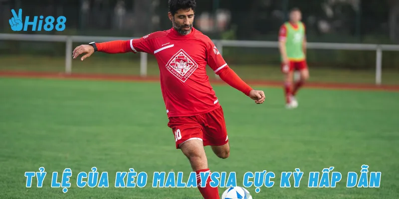 Tỷ lệ của kèo Malaysia cực kỳ hấp dẫn