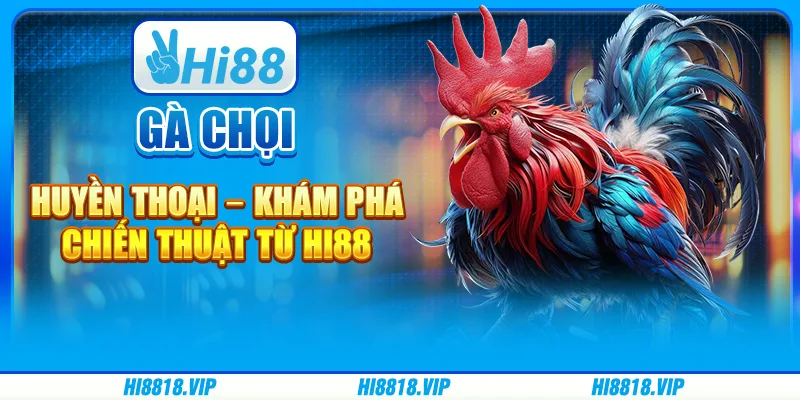 Gà Chọi Huyền Thoại – Khám phá chiến thuật từ Hi88