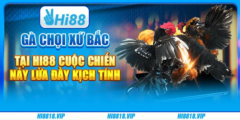 Gà Chọi Xứ Bắc tại Hi88: Cuộc Chiến Nảy Lửa Đầy Kịch Tính