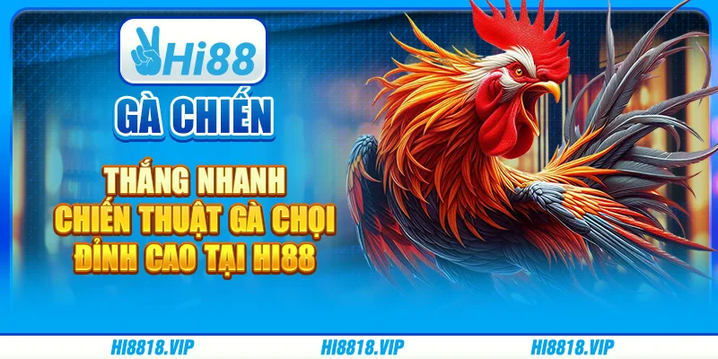 Gà chiến thắng nhanh – Chiến thuật gà chọi đỉnh cao tại Hi88