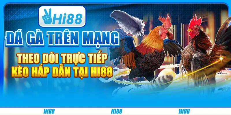 Đá gà trên mạng, theo dõi trực tiếp kèo hấp dẫn tại Hi88