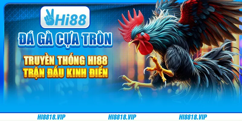Đá Gà Cựa Tròn Truyền Thống Hi88 – Trận Đấu Kinh Điển